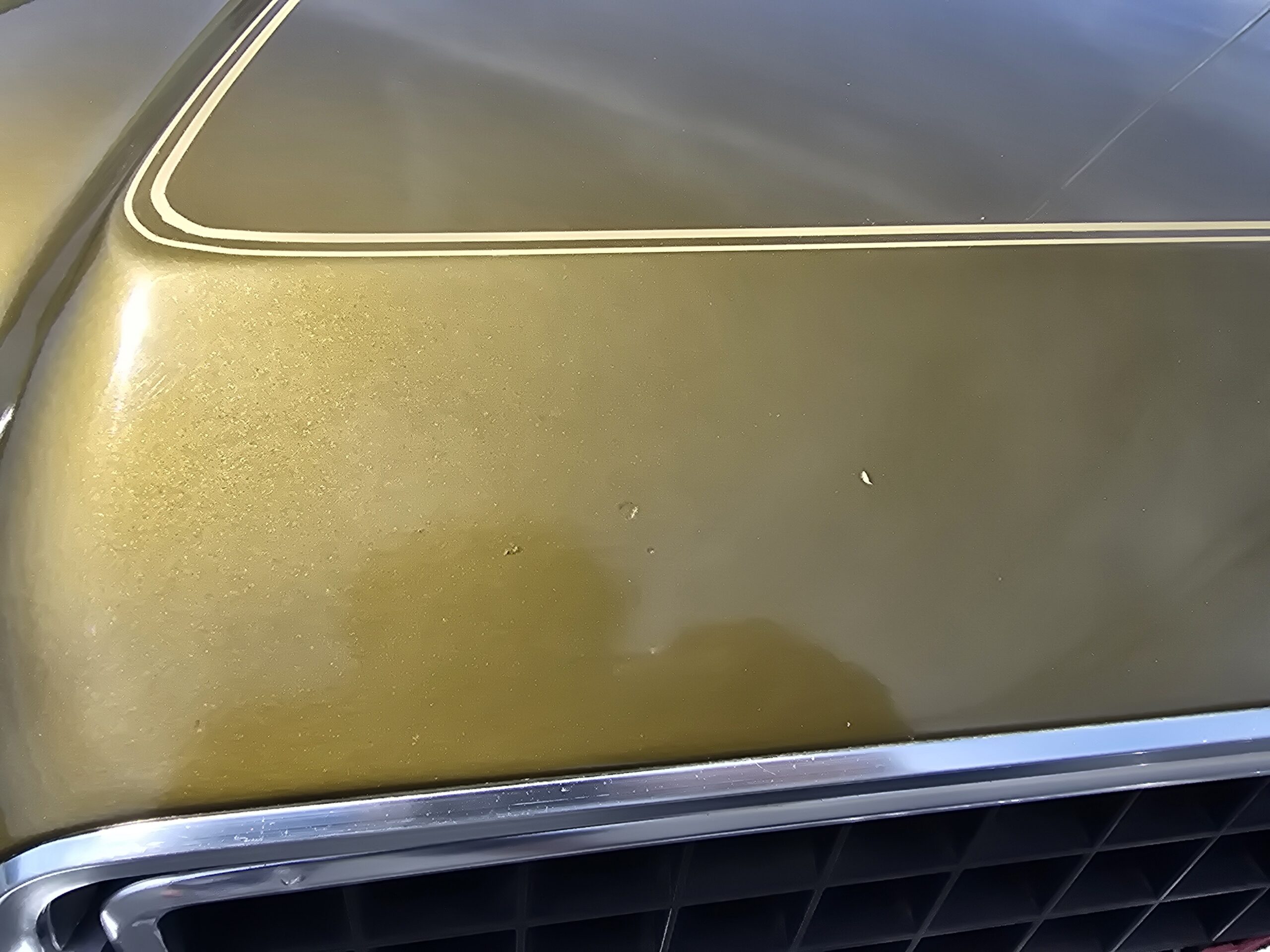 
								1972 Oldsmobile Cutlass Supreme full									