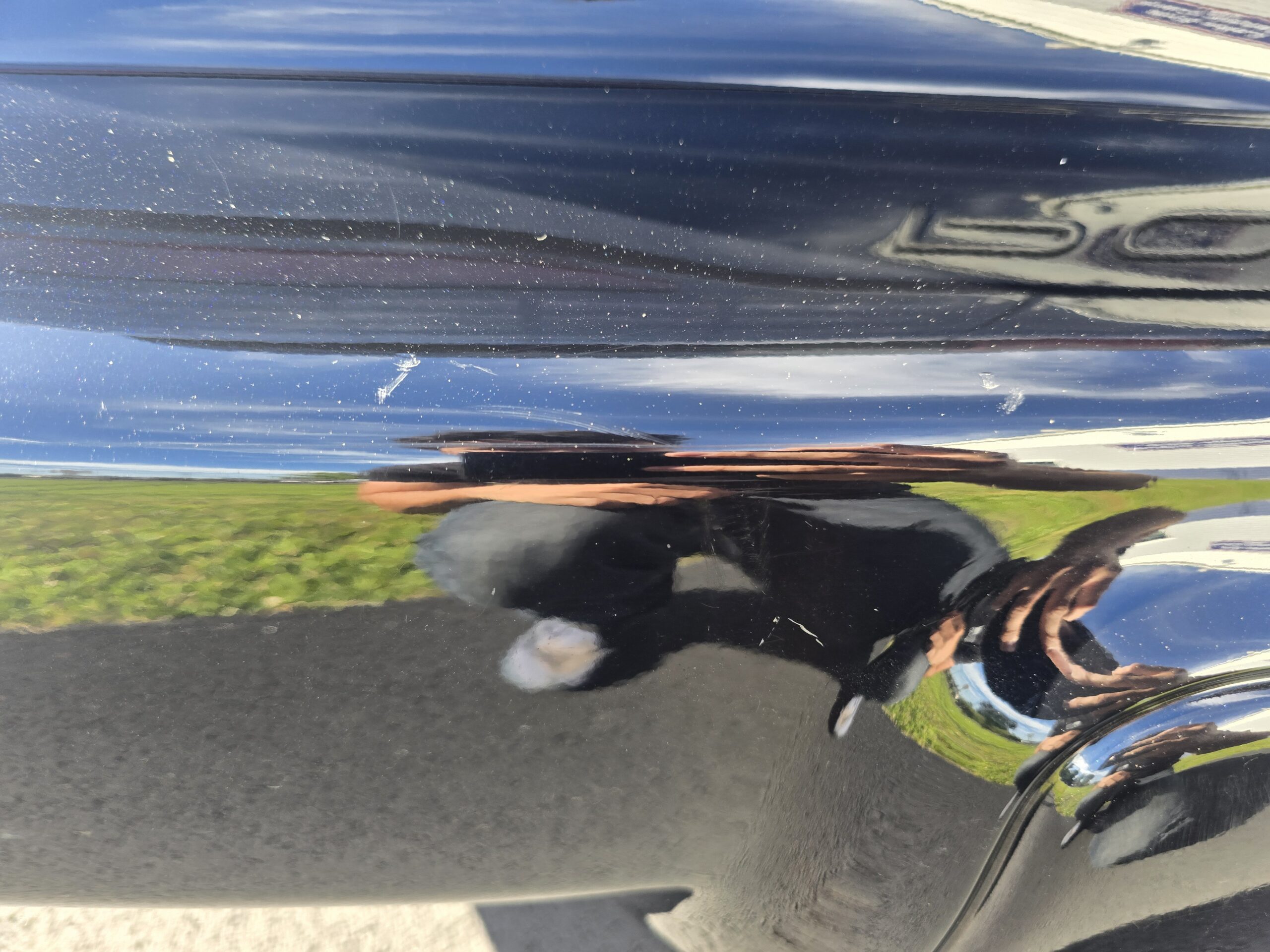 
								1997 Pontiac Firebird Convertible full									