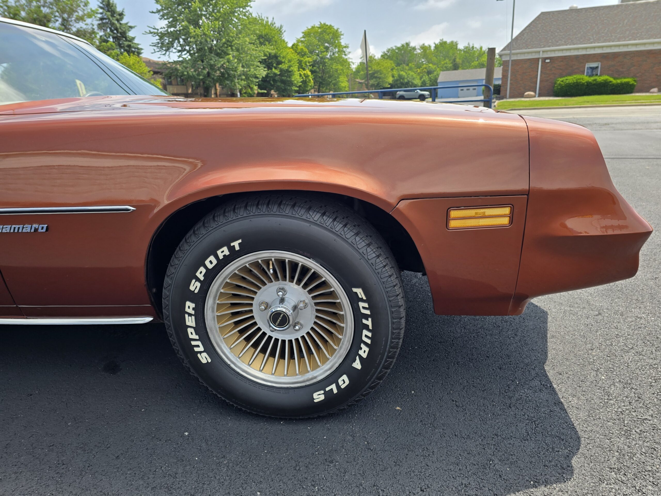 
										1980 Chevy Camaro Berlinetta full									