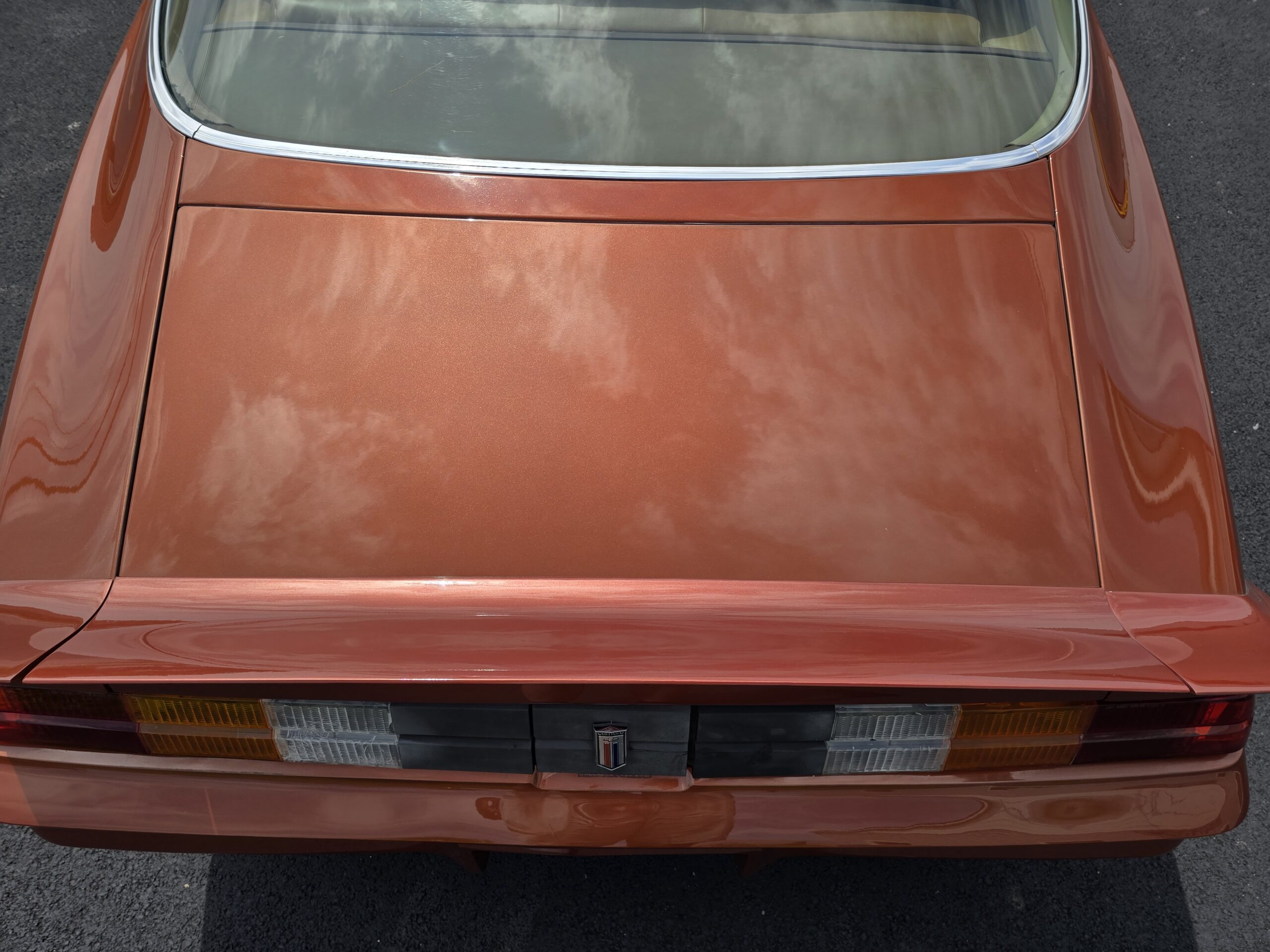 
										1980 Chevy Camaro Berlinetta full									