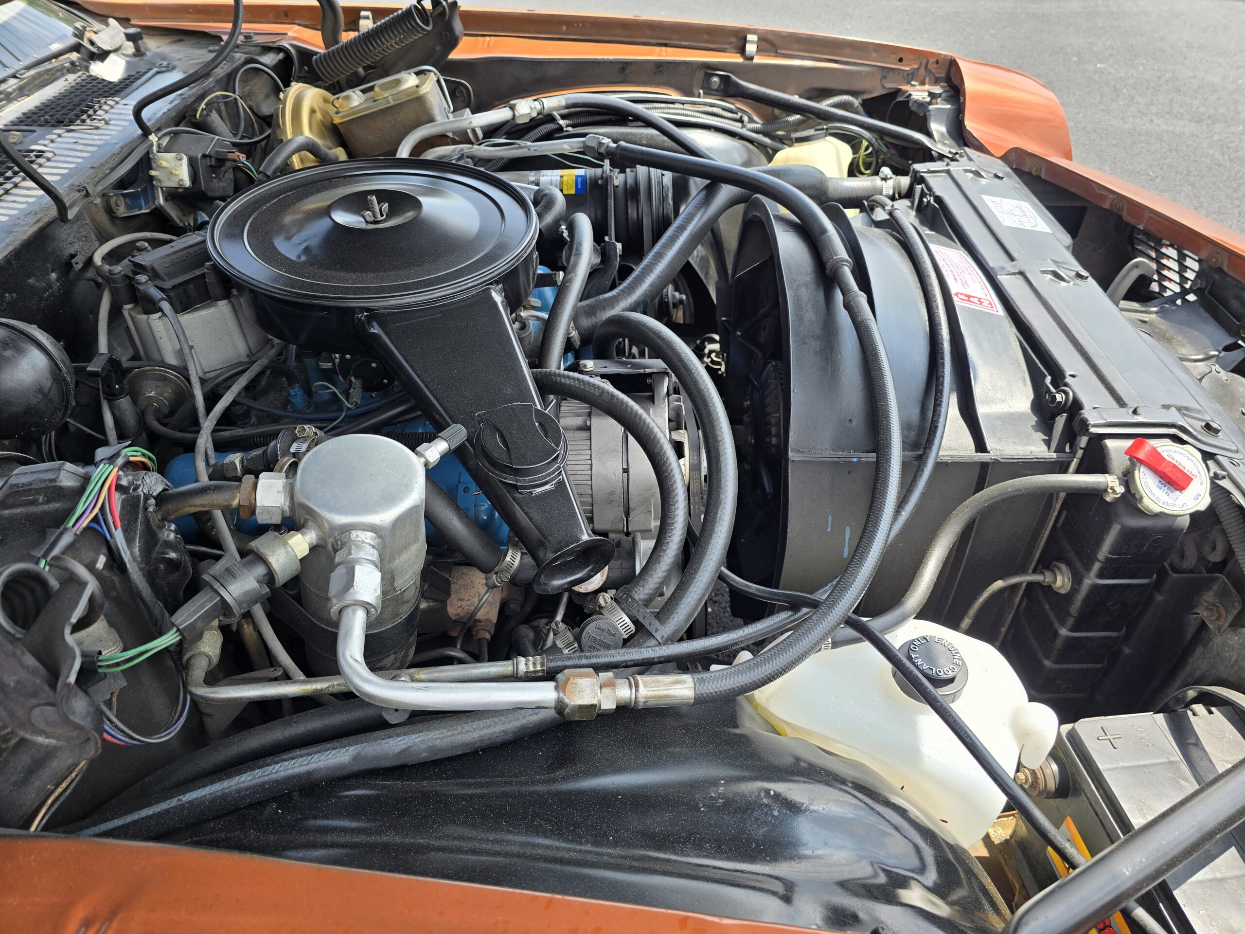 
										1980 Chevy Camaro Berlinetta full									